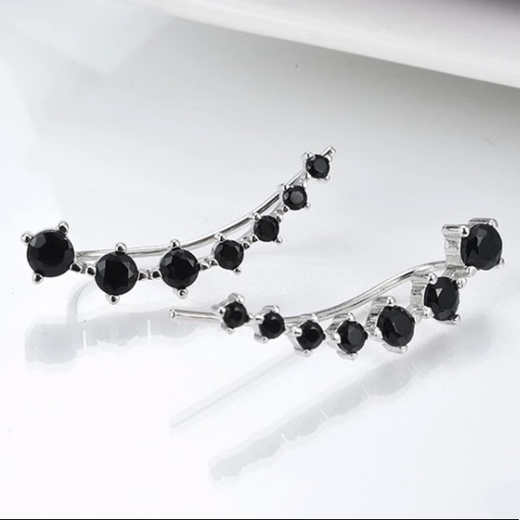 Jewelry - 🖤 Sterling Silver earrings🖤